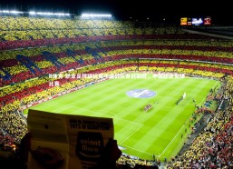 B体育-职业足球锦标赛中国战队奋战取胜，中国职业足球比赛