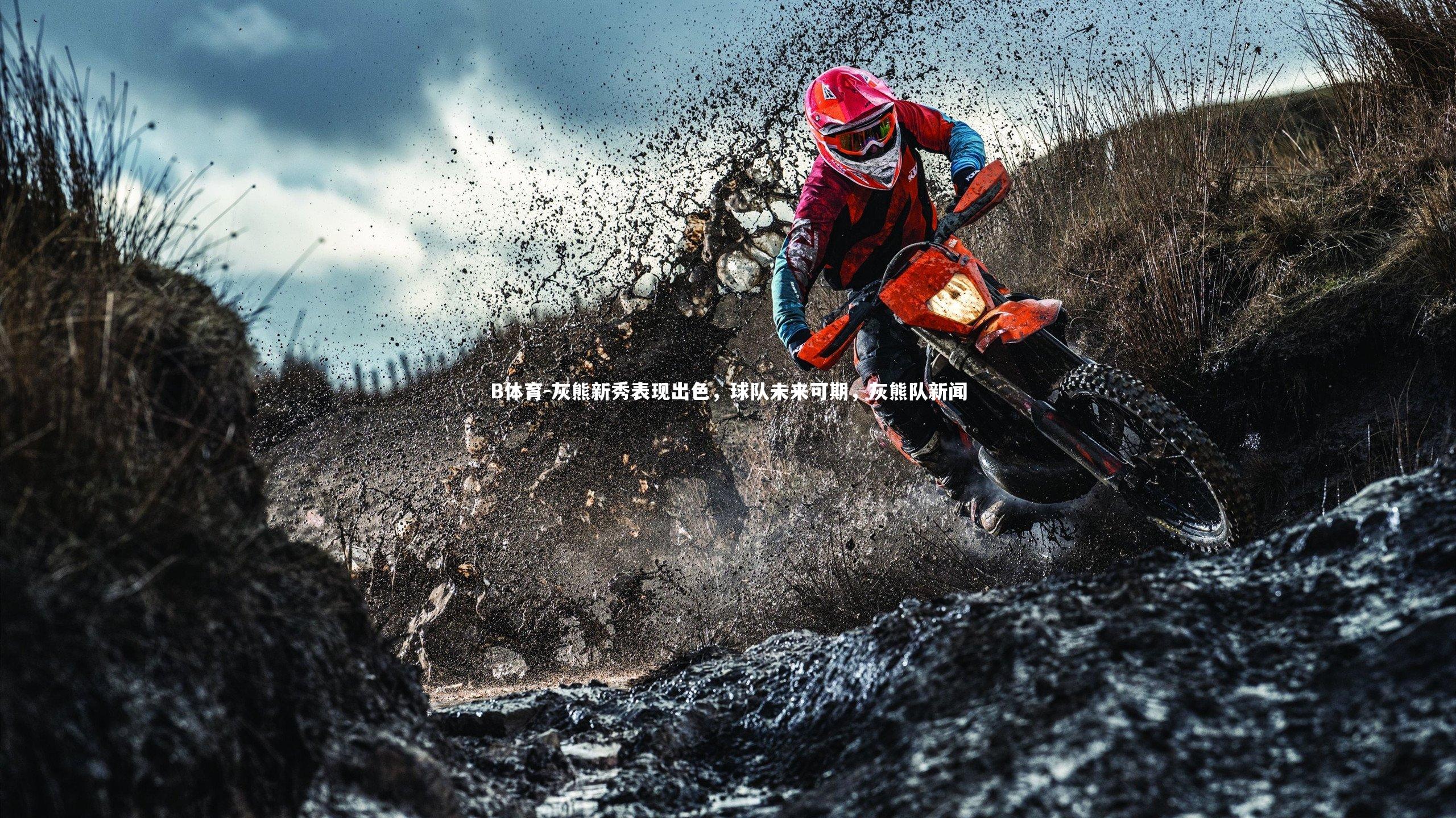 灰熊新秀表现出色，球队未来可期，灰熊队新闻